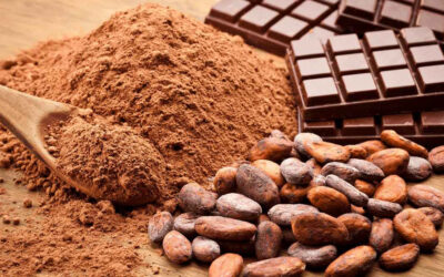 Científico de Harvard revela el secreto del cacao: así regenera tu cuerpo